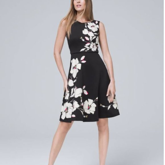 Like NEW!!! FLORAL SCUBA KNIT DRESS, size 0P - Picture 1 of 5